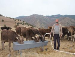 Başbakan'dan yardım bekliyor